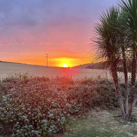 Westerley Country B & B With Exclusive Guest Lounge Buckfastleigh Eksteriør bilde