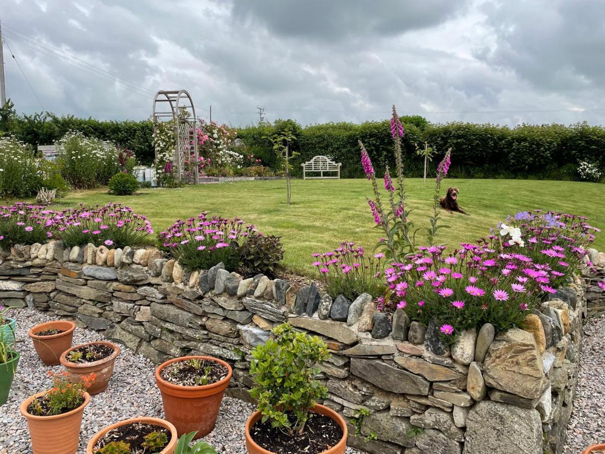 Westerley Country B & B With Exclusive Guest Lounge Buckfastleigh Eksteriør bilde