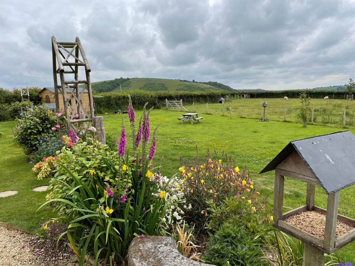 Westerley Country B & B With Exclusive Guest Lounge Buckfastleigh Eksteriør bilde