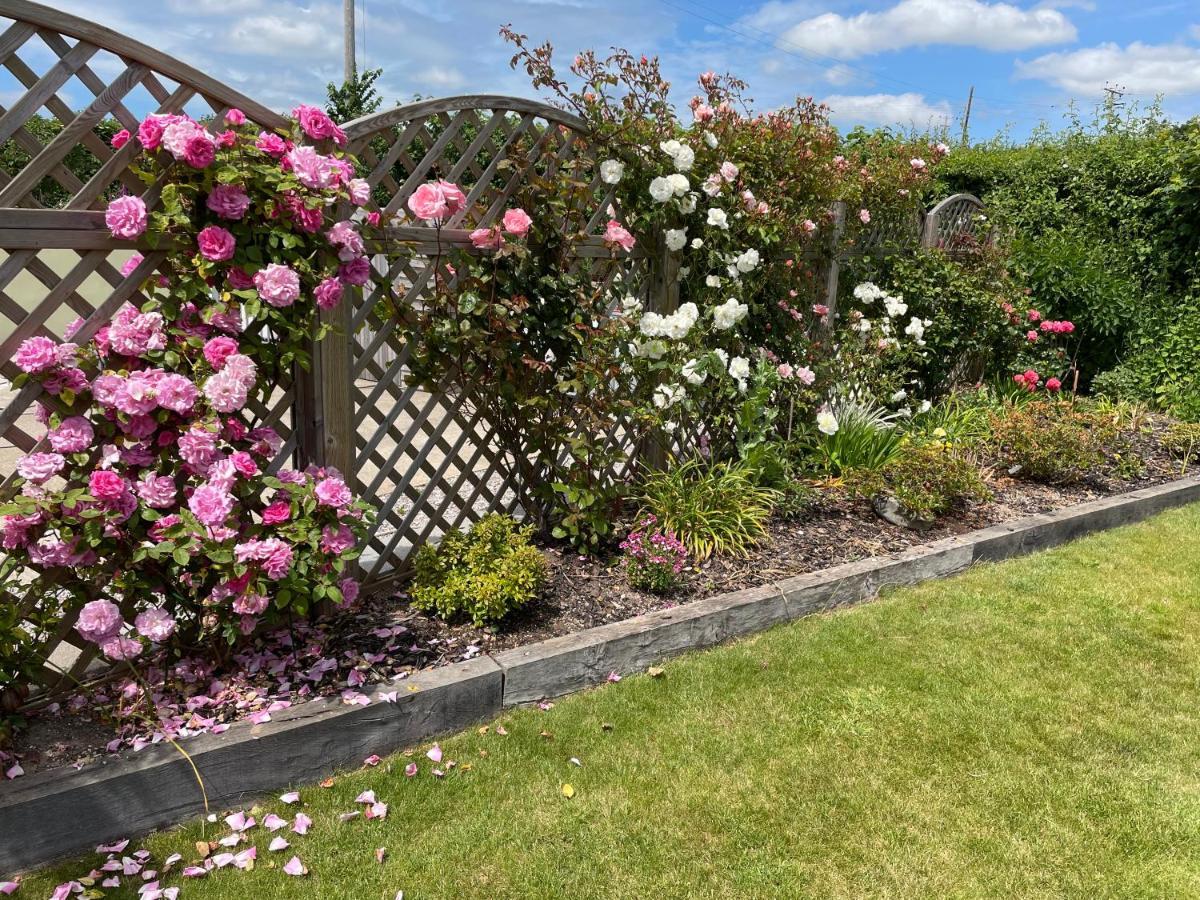 Westerley Country B & B With Exclusive Guest Lounge Buckfastleigh Eksteriør bilde