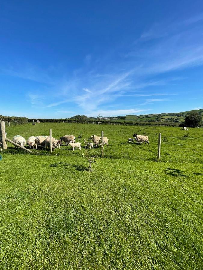 Westerley Country B & B With Exclusive Guest Lounge Buckfastleigh Eksteriør bilde