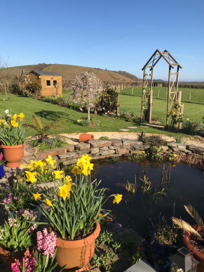 Westerley Country B & B With Exclusive Guest Lounge Buckfastleigh Eksteriør bilde