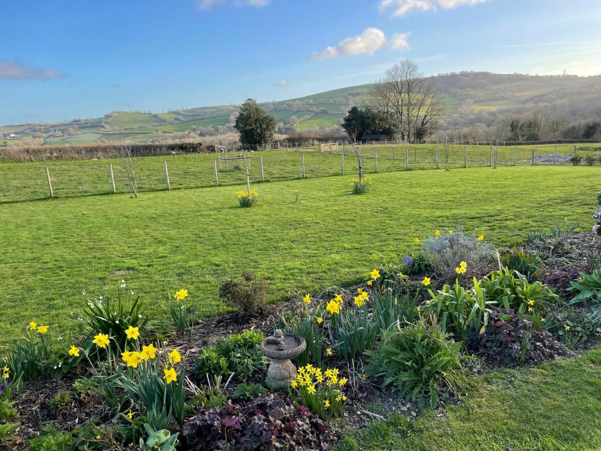 Westerley Country B & B With Exclusive Guest Lounge Buckfastleigh Eksteriør bilde