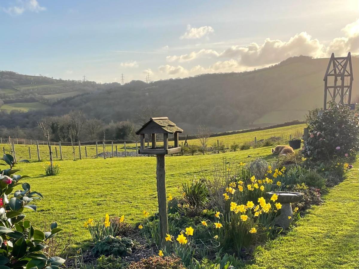 Westerley Country B & B With Exclusive Guest Lounge Buckfastleigh Eksteriør bilde