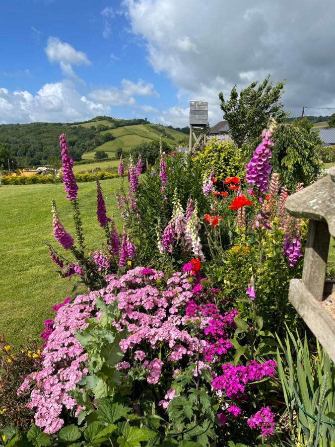 Westerley Country B & B With Exclusive Guest Lounge Buckfastleigh Eksteriør bilde