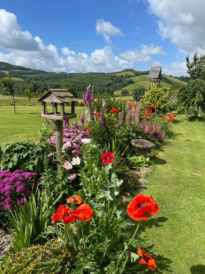Westerley Country B & B With Exclusive Guest Lounge Buckfastleigh Eksteriør bilde